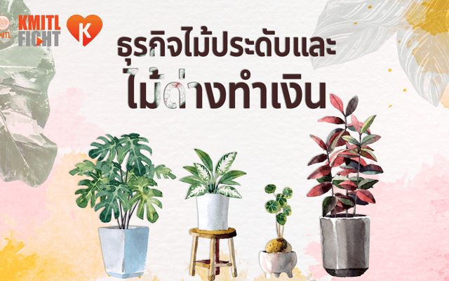 ธุรกิจไม้ประดับและไม้ด่างทำเงิน