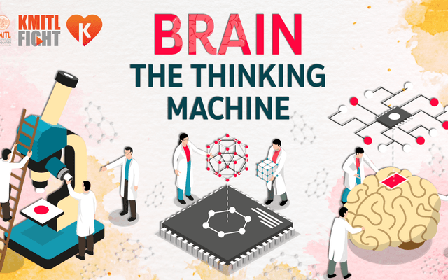Brain The Thinking Machine