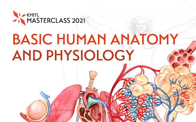 BASIC HUMAN ANATOMY AND PHYSIOLOGY