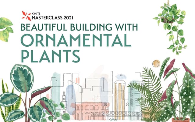 อาคารสวยด้วยไม้ประดับ